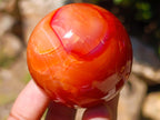 Polished Carnelian Agate Gemstone Spheres x 12 From Madagascar - Toprock Gemstones and Minerals 