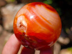 Polished Carnelian Agate Gemstone Spheres x 12 From Madagascar - Toprock Gemstones and Minerals 