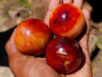 Polished Carnelian Agate Gemstone Spheres x 12 From Madagascar - Toprock Gemstones and Minerals 
