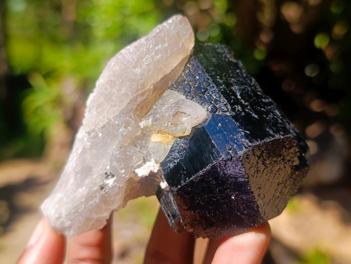 Natural Schorl Black Tourmaline with Associated Minerals x 6 From Erongo, Namibia - Toprock Gemstones and Minerals 