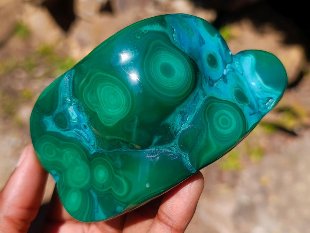 Polished Flower Banded Malachite Free Forms x 6 From Congo - Toprock Gemstones and Minerals 
