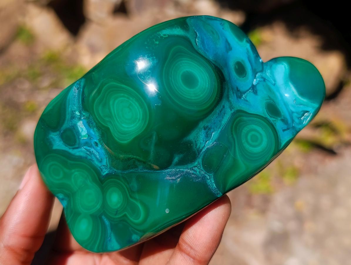 Polished Flower Banded Malachite Free Forms x 6 From Congo - Toprock Gemstones and Minerals 