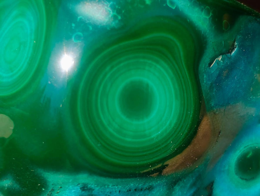 Polished Flower Banded Malachite Free Forms x 6 From Congo - Toprock Gemstones and Minerals 