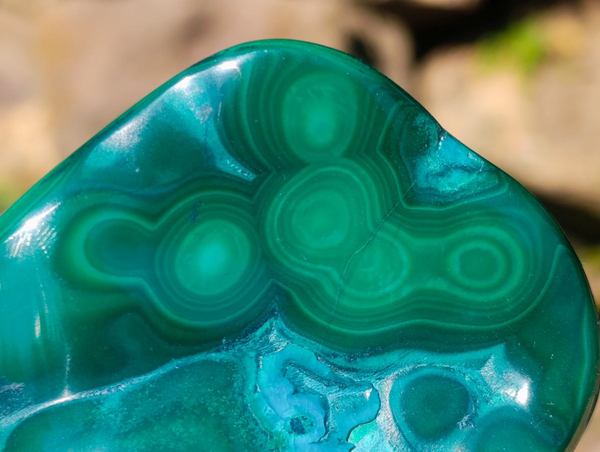 Polished Flower Banded Malachite Free Forms x 6 From Congo - Toprock Gemstones and Minerals 