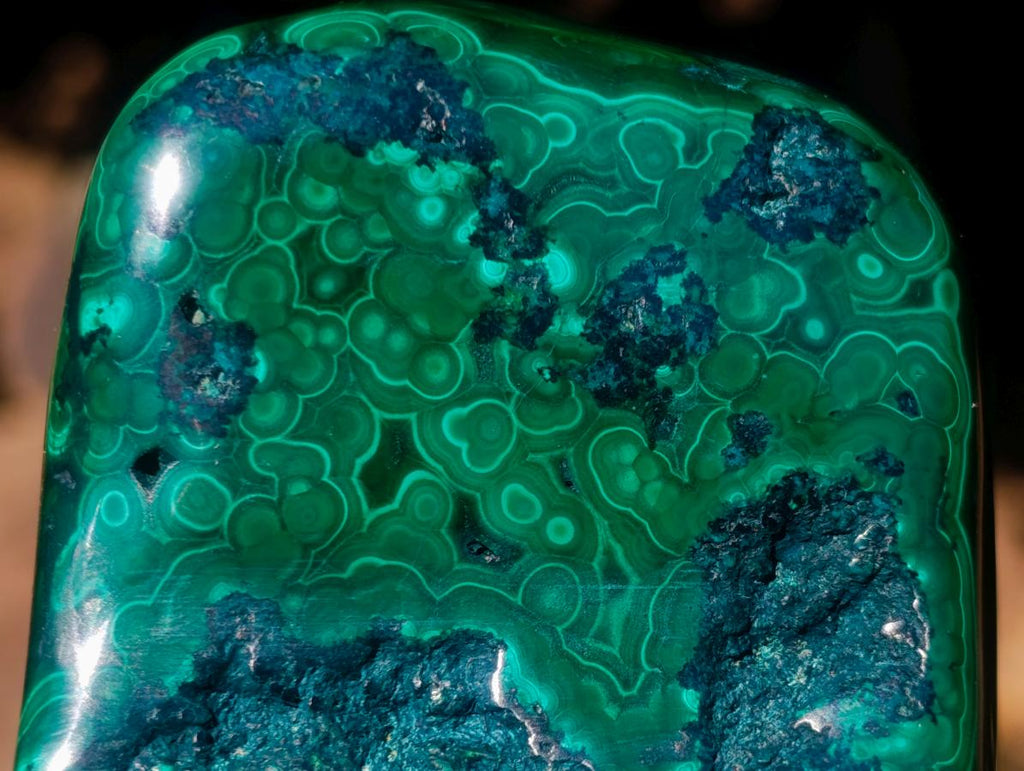 Polished Flower Banded Malachite Free Forms x 6 From Congo - Toprock Gemstones and Minerals 