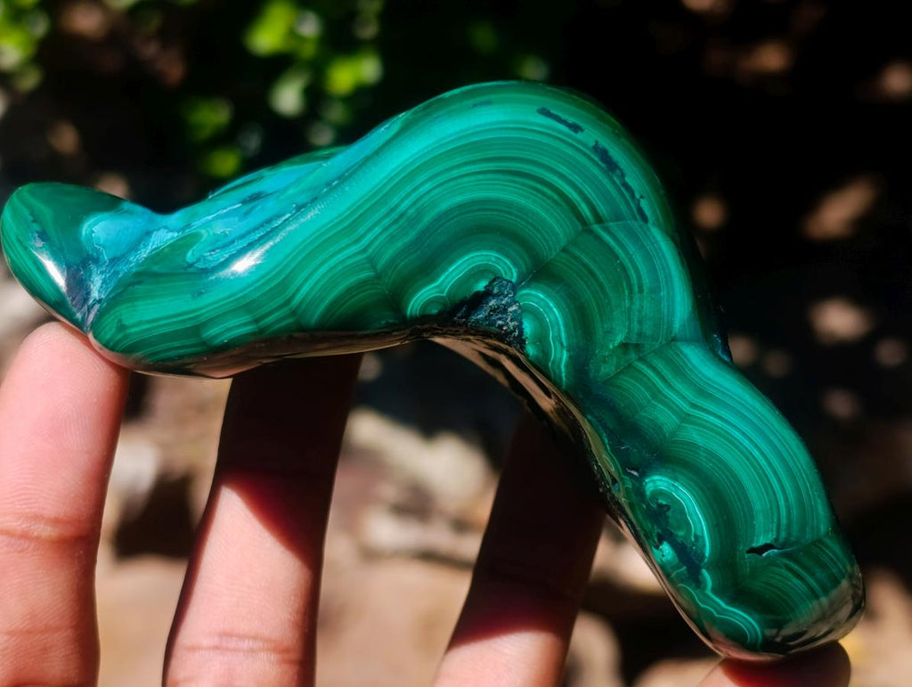 Polished Flower Banded Malachite Free Forms x 6 From Congo - Toprock Gemstones and Minerals 