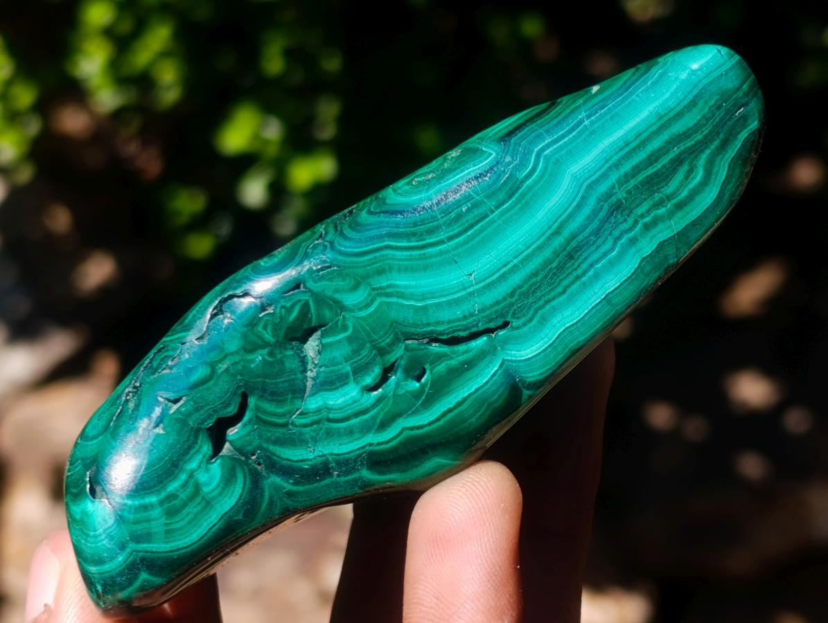 Polished Flower Banded Malachite Free Forms x 6 From Congo - Toprock Gemstones and Minerals 