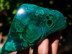 Polished Flower Banded Malachite Free Forms x 6 From Congo - Toprock Gemstones and Minerals 