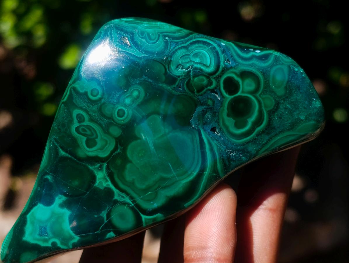 Polished Flower Banded Malachite Free Forms x 6 From Congo - Toprock Gemstones and Minerals 