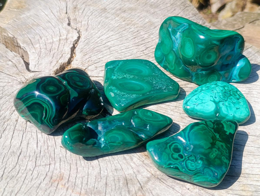 Polished Flower Banded Malachite Free Forms x 6 From Congo - Toprock Gemstones and Minerals 