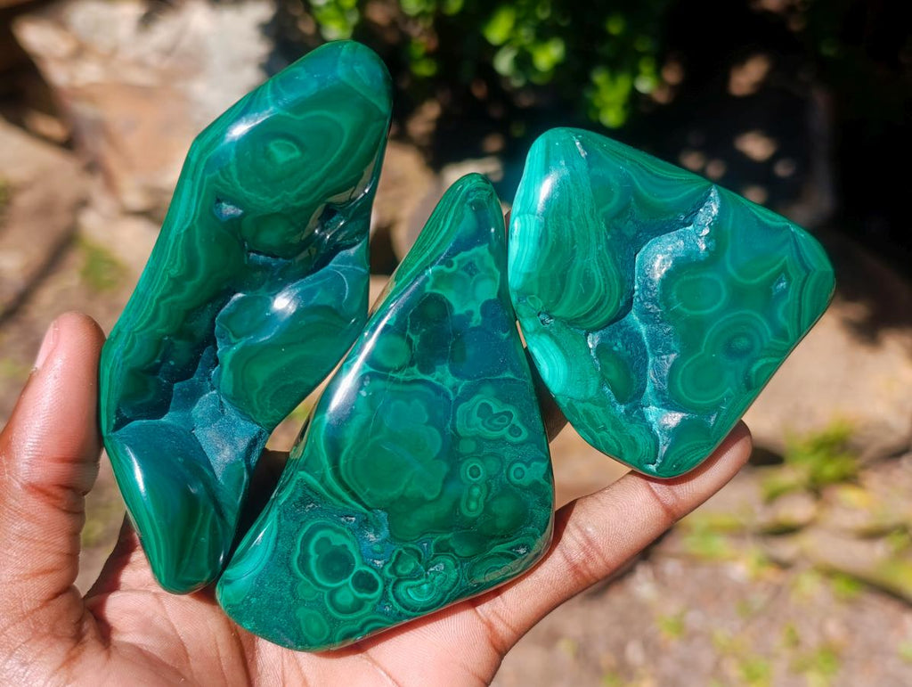 Polished Flower Banded Malachite Free Forms x 6 From Congo - Toprock Gemstones and Minerals 
