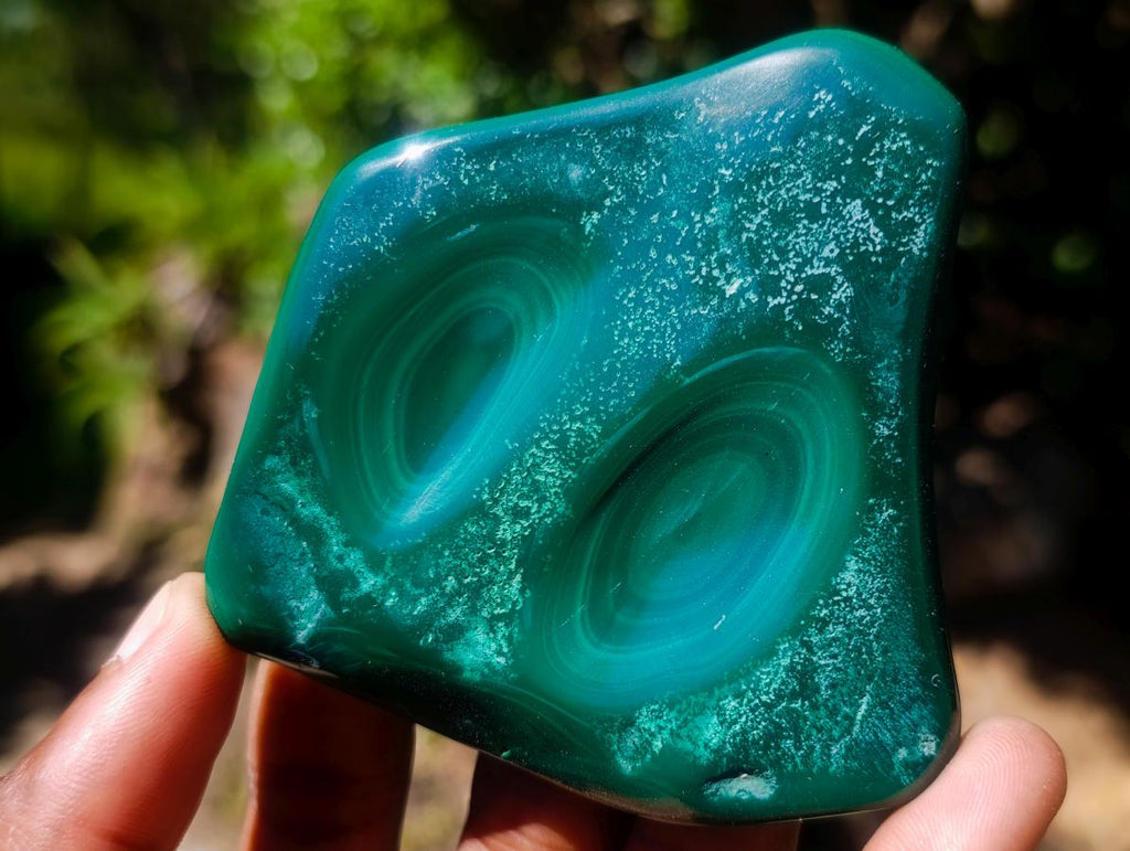 Polished Flower Banded Malachite Free Forms x 6 From Congo - Toprock Gemstones and Minerals 