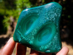 Polished Flower Banded Malachite Free Forms x 6 From Congo - Toprock Gemstones and Minerals 
