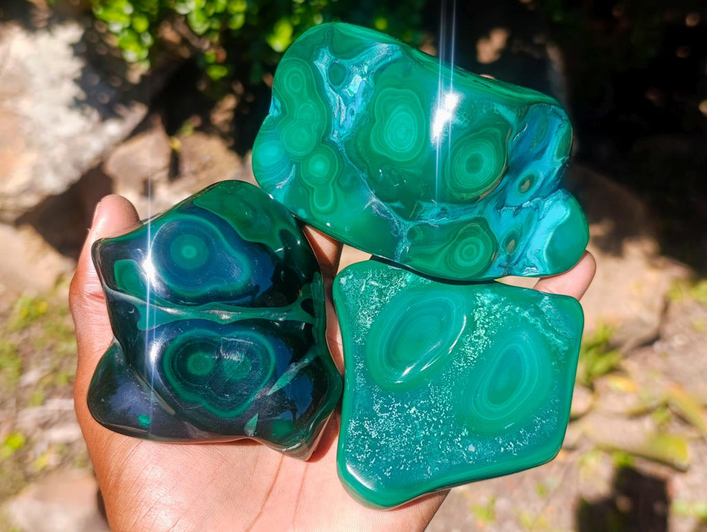 Polished Flower Banded Malachite Free Forms x 6 From Congo - Toprock Gemstones and Minerals 