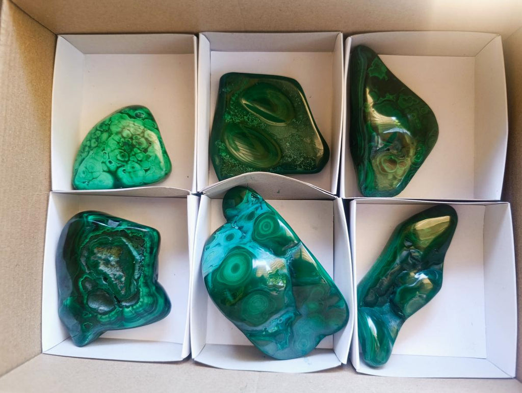 Polished Flower Banded Malachite Free Forms x 6 From Congo - Toprock Gemstones and Minerals 
