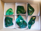 Polished Flower Banded Malachite Free Forms x 6 From Congo - Toprock Gemstones and Minerals 