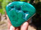 Polished Flower Banded Malachite Free Forms x 6 From Congo - Toprock Gemstones and Minerals 