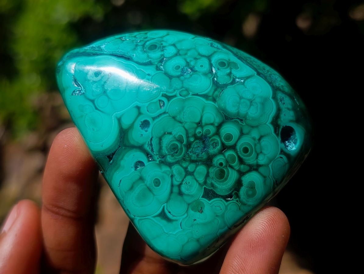 Polished Flower Banded Malachite Free Forms x 6 From Congo - Toprock Gemstones and Minerals 