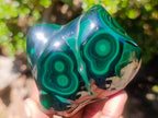 Polished Flower Banded Malachite Free Forms x 6 From Congo - Toprock Gemstones and Minerals 