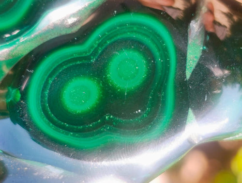 Polished Flower Banded Malachite Free Forms x 6 From Congo - Toprock Gemstones and Minerals 