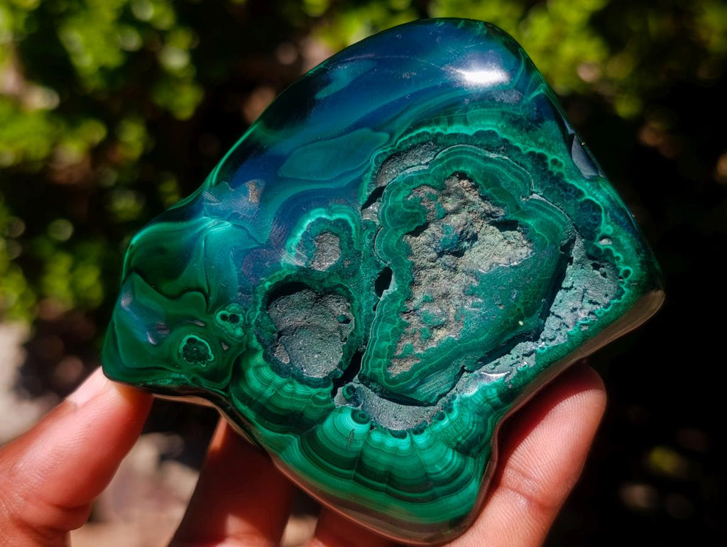 Polished Flower Banded Malachite Free Forms x 6 From Congo - Toprock Gemstones and Minerals 