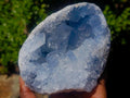 Natural Blue Celestite Specimens x 2 From Sakoany, Madagascar - Toprock Gemstones and Minerals 