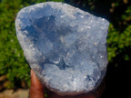 Natural Blue Celestite Specimens x 2 From Sakoany, Madagascar - Toprock Gemstones and Minerals 