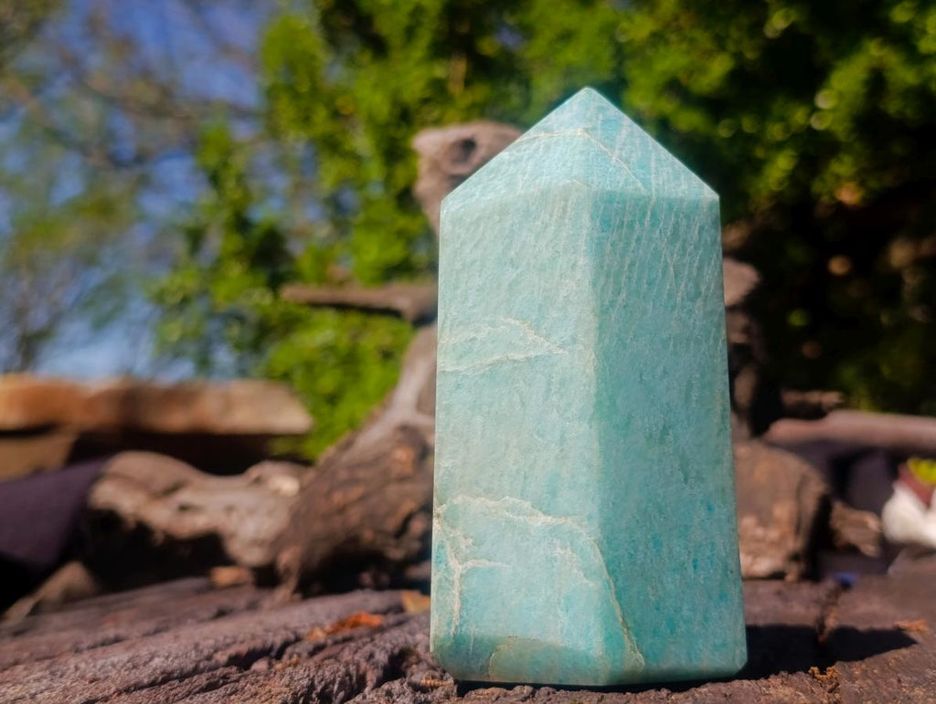 Polished Amazonite Display Crystals x 2 From Madagascar - Toprock Gemstones and Minerals 