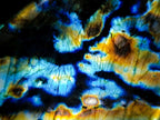 Polished Labradorite Standing Display Pieces x 2 From Madagascar - Toprock Gemstones and Minerals 