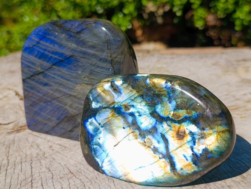 Polished Labradorite Standing Display Pieces x 2 From Madagascar - Toprock Gemstones and Minerals 