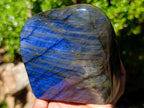 Polished Labradorite Standing Display Pieces x 2 From Madagascar - Toprock Gemstones and Minerals 