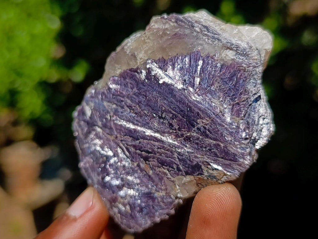 Polished One Side Silver Leaf Lepidolite Domed Nodules x 24 From Zimbabwe - Toprock Gemstones and Minerals 