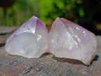 Natural Spirit Quartz Single Cactus Flower Crystals x 24 From Boekenhouthoek, South Africa - Toprock Gemstones and Minerals 