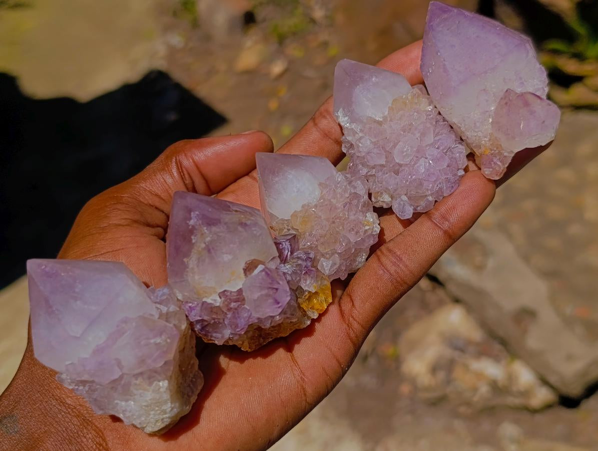Natural Spirit Quartz Single Cactus Flower Crystals x 24 From Boekenhouthoek, South Africa - Toprock Gemstones and Minerals 