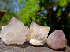 Natural Spirit Quartz Single Cactus Flower Crystals x 24 From Boekenhouthoek, South Africa - Toprock Gemstones and Minerals 