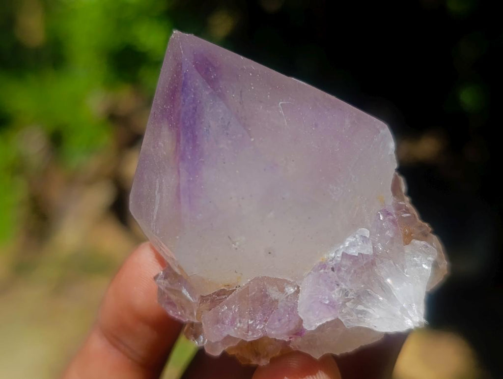 Natural Spirit Quartz Single Cactus Flower Crystals x 24 From Boekenhouthoek, South Africa - Toprock Gemstones and Minerals 