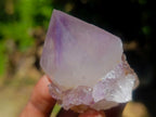 Natural Spirit Quartz Single Cactus Flower Crystals x 24 From Boekenhouthoek, South Africa - Toprock Gemstones and Minerals 