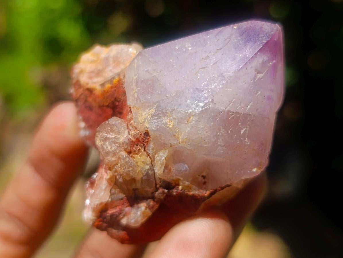 Natural Spirit Quartz Single Cactus Flower Crystals x 24 From Boekenhouthoek, South Africa - Toprock Gemstones and Minerals 
