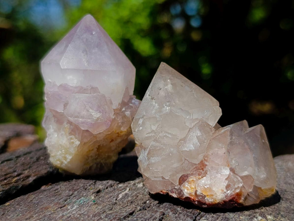 Natural Spirit Quartz Single Cactus Flower Crystals x 24 From Boekenhouthoek, South Africa - Toprock Gemstones and Minerals 