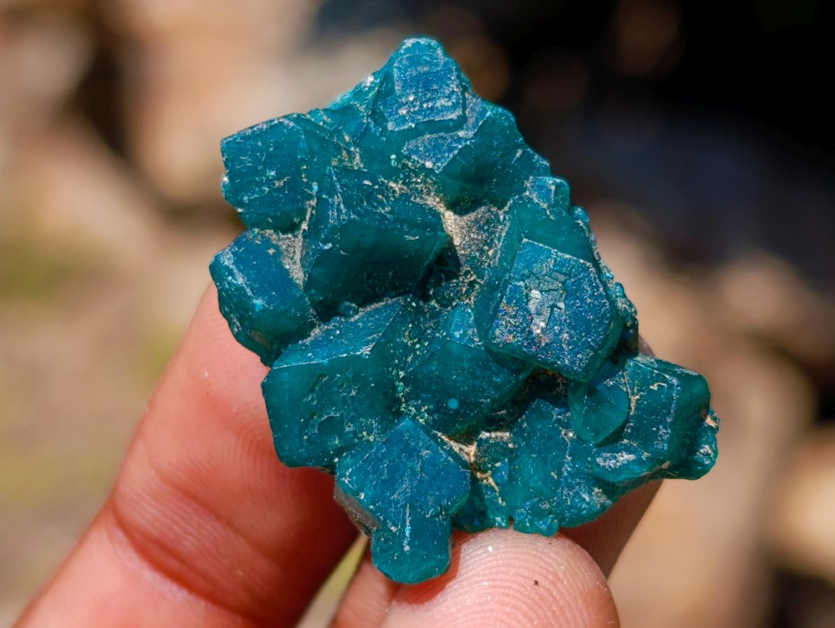Natural Dioptase Specimens on Dolomite Matrix x 70 From Tantara Mine, Congo - Toprock Gemstones and Minerals 