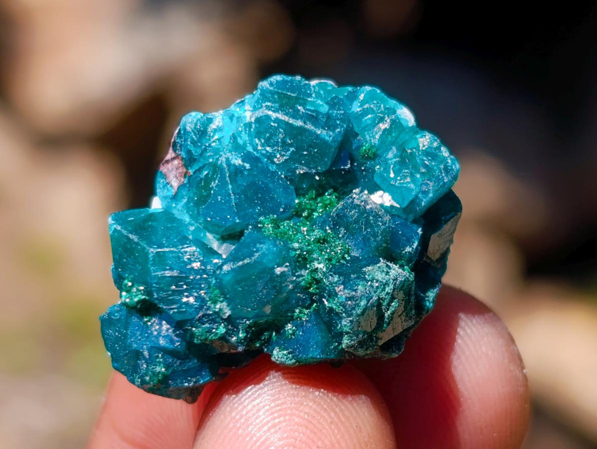 Natural Dioptase Specimens on Dolomite Matrix x 70 From Tantara Mine, Congo - Toprock Gemstones and Minerals 