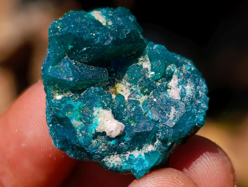 Natural Dioptase Specimens on Dolomite Matrix x 70 From Tantara Mine, Congo - Toprock Gemstones and Minerals 