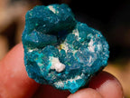 Natural Dioptase Specimens on Dolomite Matrix x 70 From Tantara Mine, Congo - Toprock Gemstones and Minerals 