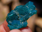 Natural Dioptase Specimens on Dolomite Matrix x 70 From Tantara Mine, Congo - Toprock Gemstones and Minerals 