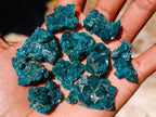 Natural Dioptase Specimens on Dolomite Matrix x 70 From Tantara Mine, Congo - Toprock Gemstones and Minerals 