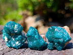 Natural Dioptase Specimens on Dolomite Matrix x 70 From Tantara Mine, Congo - Toprock Gemstones and Minerals 