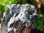Natural Schorl Black Tourmaline x 2 From Erongo, Namibia - Toprock Gemstones and Minerals 