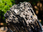 Natural Schorl Black Tourmaline x 2 From Erongo, Namibia - Toprock Gemstones and Minerals 