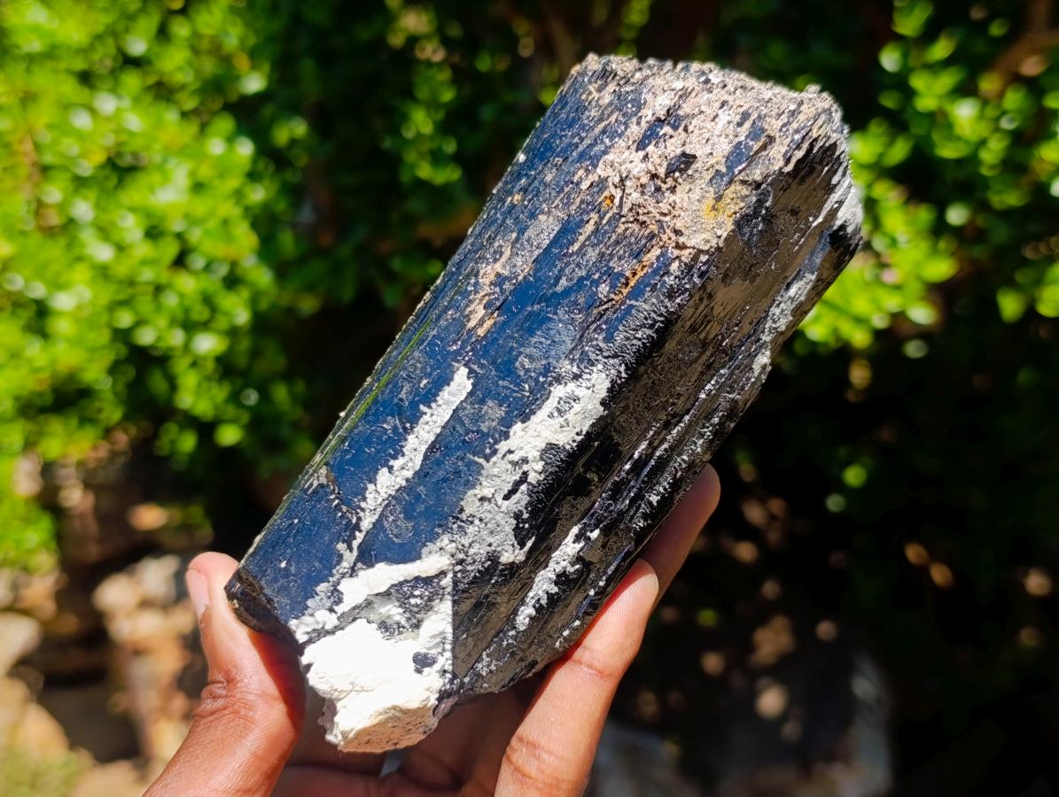 Natural Schorl Black Tourmaline x 2 From Erongo, Namibia - Toprock Gemstones and Minerals 