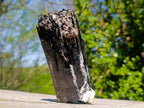 Natural Schorl Black Tourmaline x 2 From Erongo, Namibia - Toprock Gemstones and Minerals 
